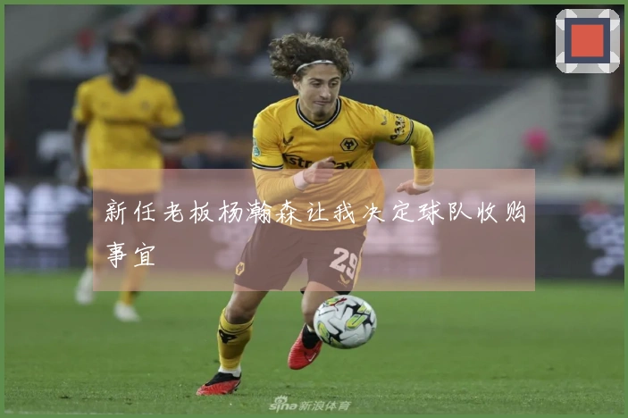 新任老板杨瀚森让我决定球队收购事宜